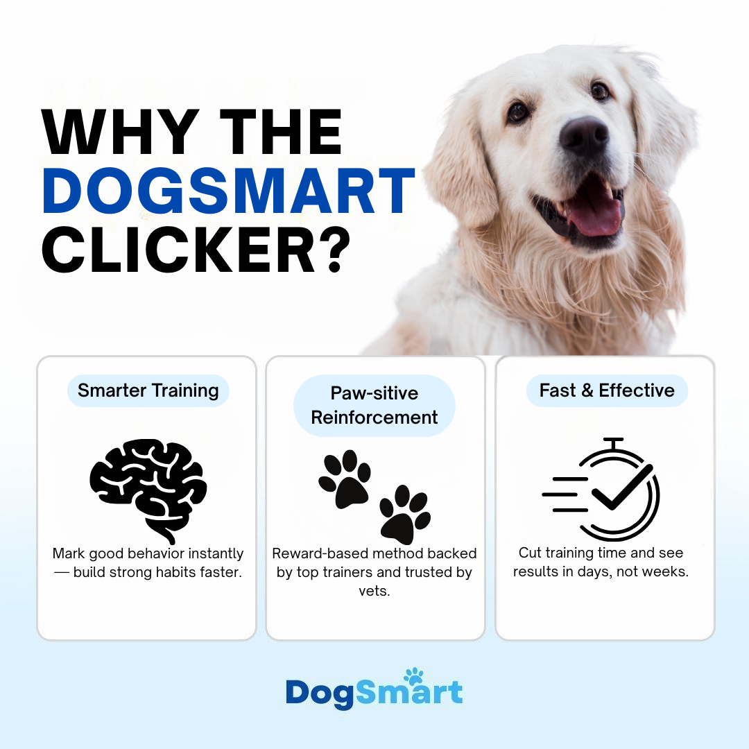 DogSmart Training Clicker