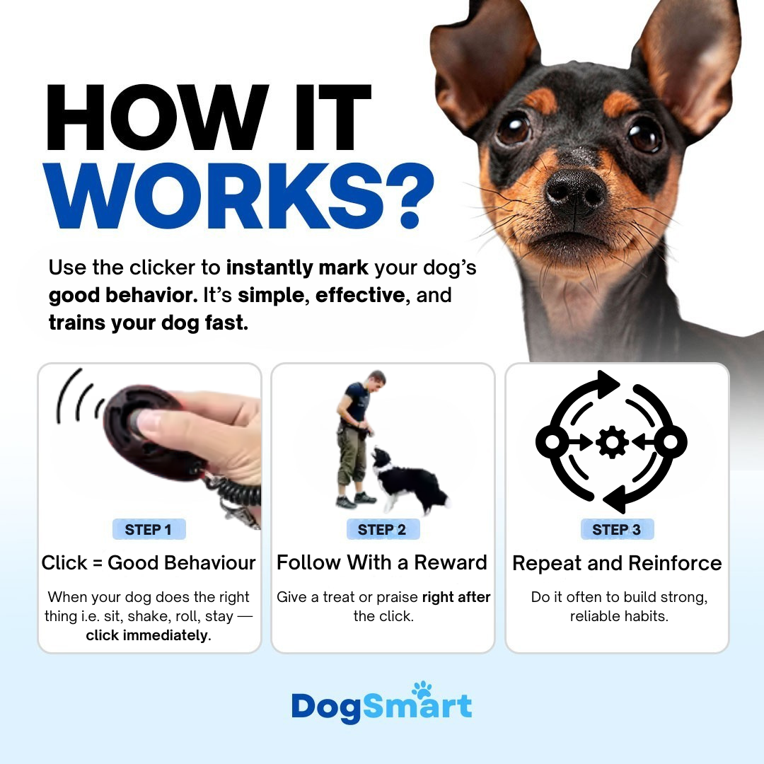 DogSmart Training Clicker